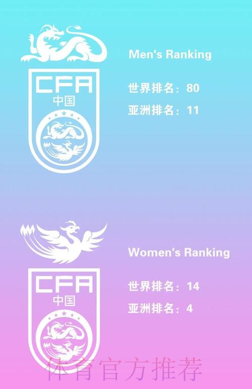 探讨世界杯球队排名变化趋势